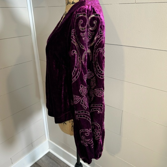 Anthropologie Velvet Cutwork Top V neck Plum XS - NOTE FLAW IN LISTING - Picture 3 of 12